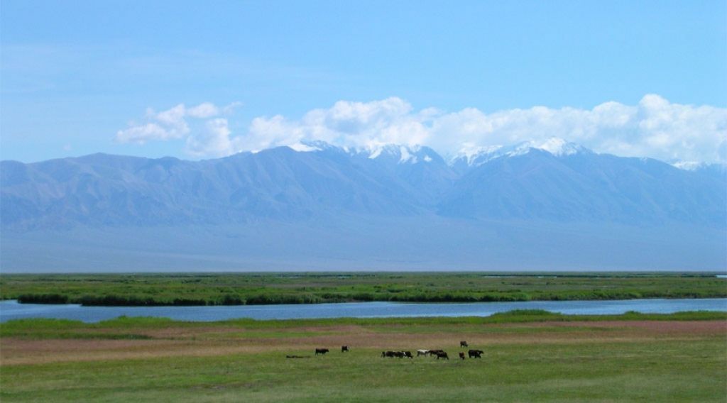 photo:Khar Us Lake Biosphere Reserve (Mongolia)